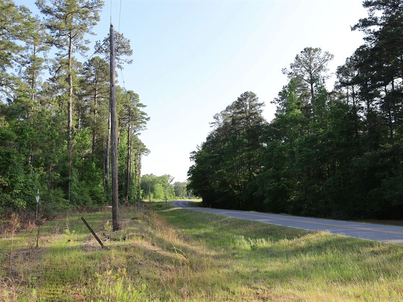 La, Caldwell 80 Acres : Grayson : Caldwell Parish : Louisiana