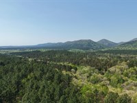 20 Acres in Pike County, AR : Langley : Pike County : Arkansas