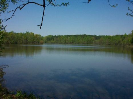 255 acres on I-85 - Lake Amlajack : Newnan : Coweta County : Georgia