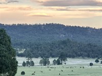 Sky Fire Ranch : Mimbres : Grant County : New Mexico