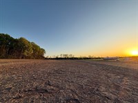 Cowen Mountain 40 : Moulton : Lawrence County : Alabama