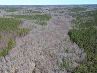 Factory Creek 120 : Detroit : Marion County : Alabama