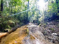 Little Canyon Creek, 93 Acres Recr : Chattahoochee : Gadsden County : Florida