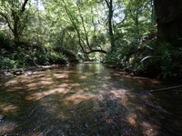 James Creek Tract : Stockbridge : Henry County : Georgia