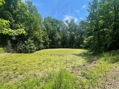 80 Acres in Tallahatchie County : Cascilla : Tallahatchie County : Mississippi