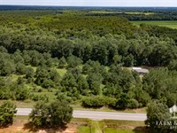 80 Ac Coffee Co, Tight Eye Creek : Enterprise : Coffee County : Alabama