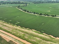 Douglas Farms at Gilliam Louisiana : Gilliam : Caddo Parish : Louisiana