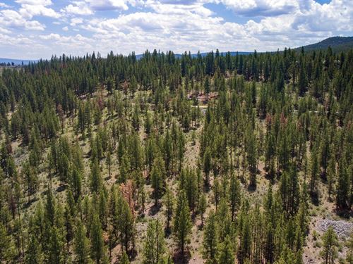 The Ten Acres of Your Dreams in OR : Beatty : Klamath County : Oregon