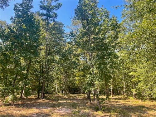 21 Acres, T-3, Union Springs Road : Corrigan : Polk County : Texas