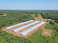 Potash Ridge Mega Broiler Farm : Roanoke : Randolph County : Alabama