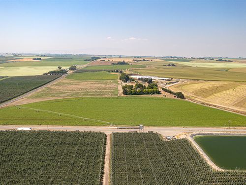 Land Auction, Franklin Co. WA : Pasco : Franklin County : Washington