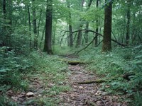 10 Acres in Van Buren County AR : Dennard : Van Buren County : Arkansas