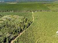 2,166 Ac Mega-Site Industrial Zonin : Campbellton : Jackson County : Florida