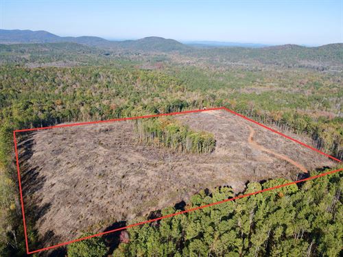 40 Acres Chandler Springs, Clay : Talladega : Clay County : Alabama