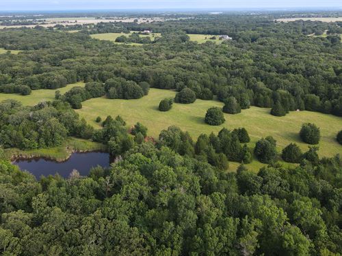 Land for Sale in North Texas : Telephone : Fannin County : Texas