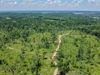 Waverly Tract : Waverly : Humphreys County : Tennessee