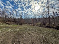 Deaver Rd Lot 3, 27 Acres : McConnelsville : Morgan County : Ohio