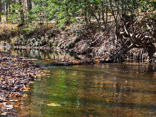 Oasis at Jones Creek 78 Acres : Powhatan : Virginia