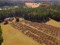 Harrell's Vineyard : Newnan : Coweta County : Georgia