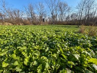 Perfect Hunting Property : New Concord : Muskingum County : Ohio