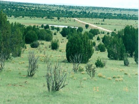 Canyon Milagro, : Canyon Milagro : Guadalupe County : New Mexico