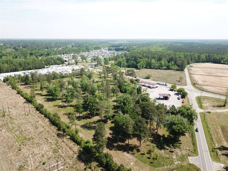 White Oak Forest : Conway : Horry County : South Carolina