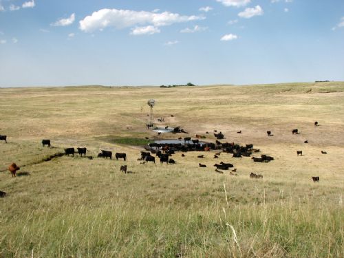 Carlson's Sandhills Ranch : Thedford : Thomas County : Nebraska