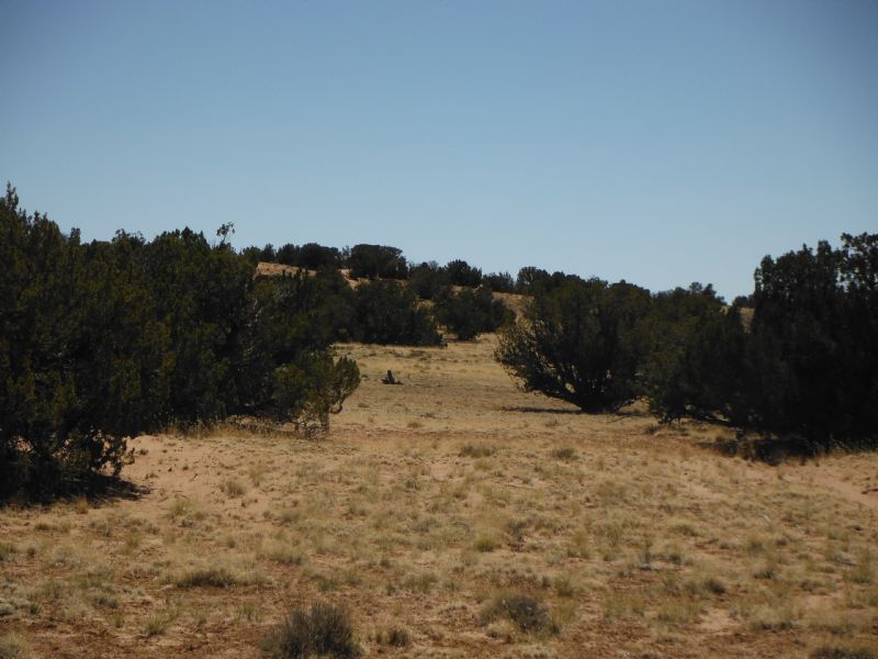 40 Acre Ranch Land Northern Arizona : Chinle : Apache County : Arizona