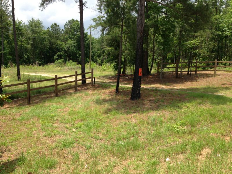 206 Acres With Barn And Food Plots : Ranch for Sale by Owner in Musella ...