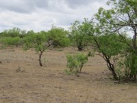 Hunting / River Ranch For Sale : Menard : Texas