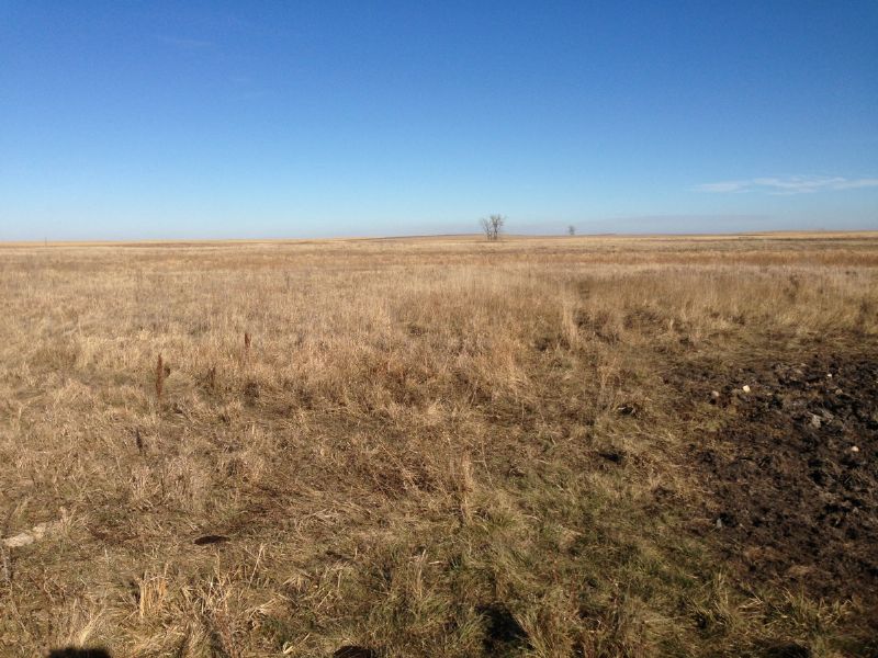 Farm - Hunting Land Auction, Ranch Auction in South Dakota, #71821 ...