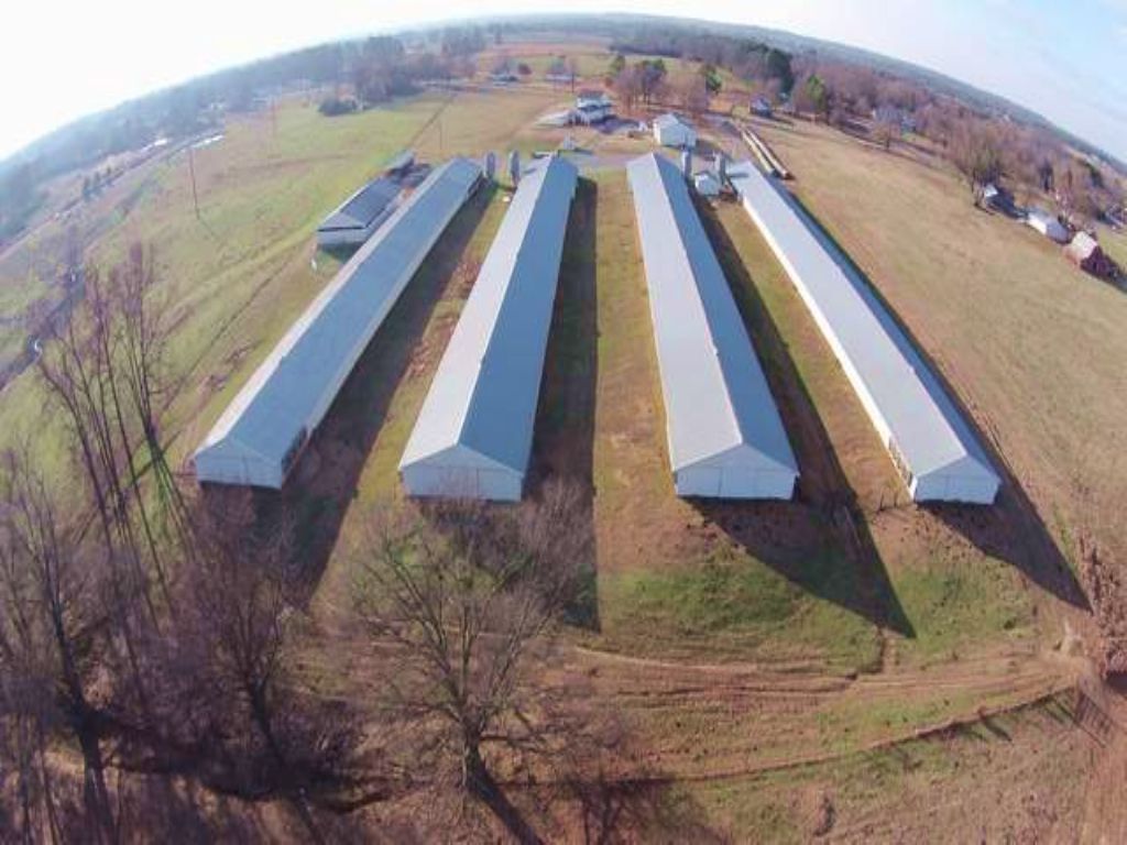 Poultry and Cattle Farm : Cullman : Cullman County : Alabama